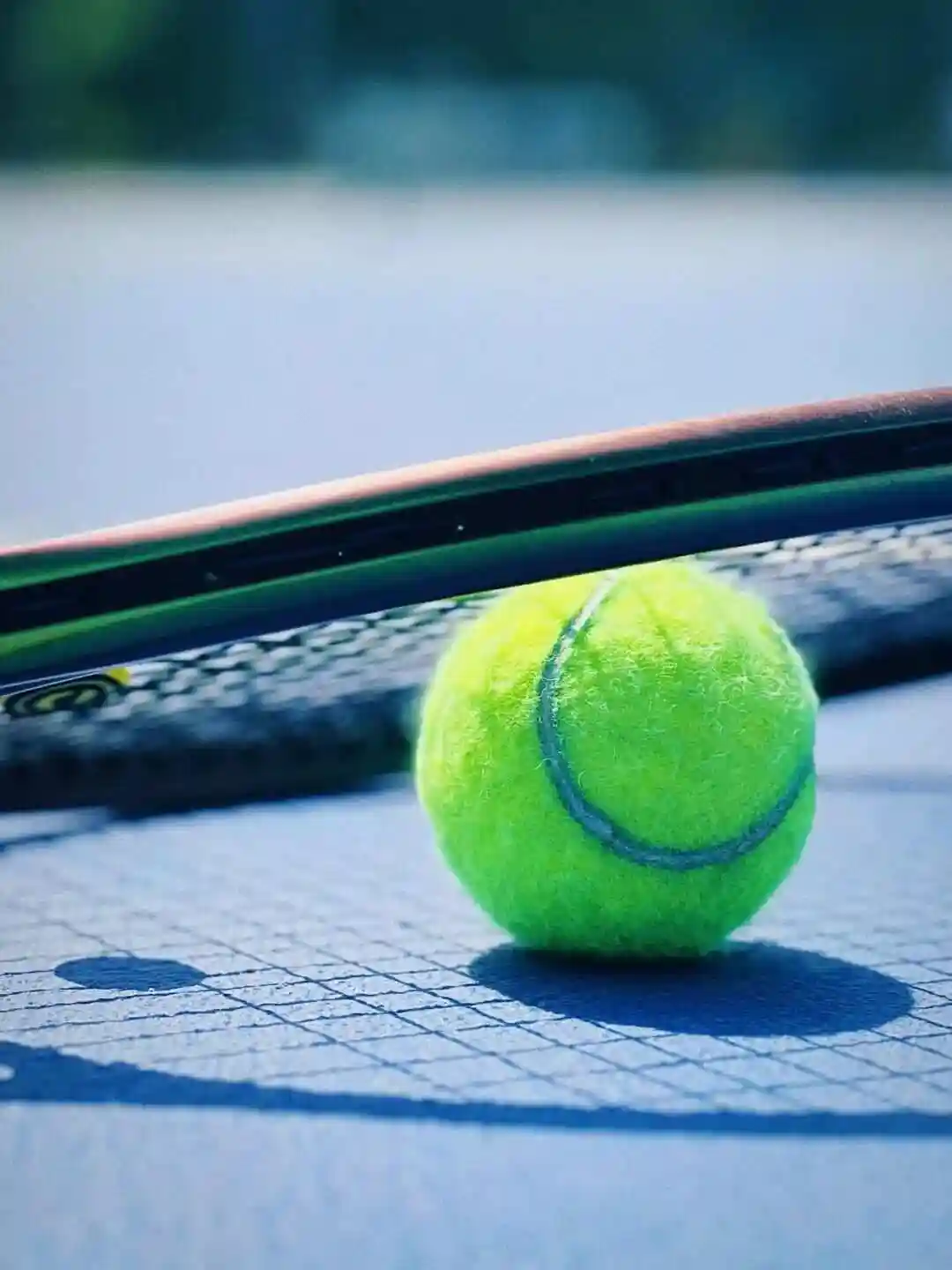 澳大利亚网球公开赛正赛第11日